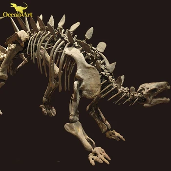 digging for dinosaurs photo