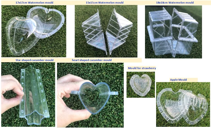 hydroponics growing system