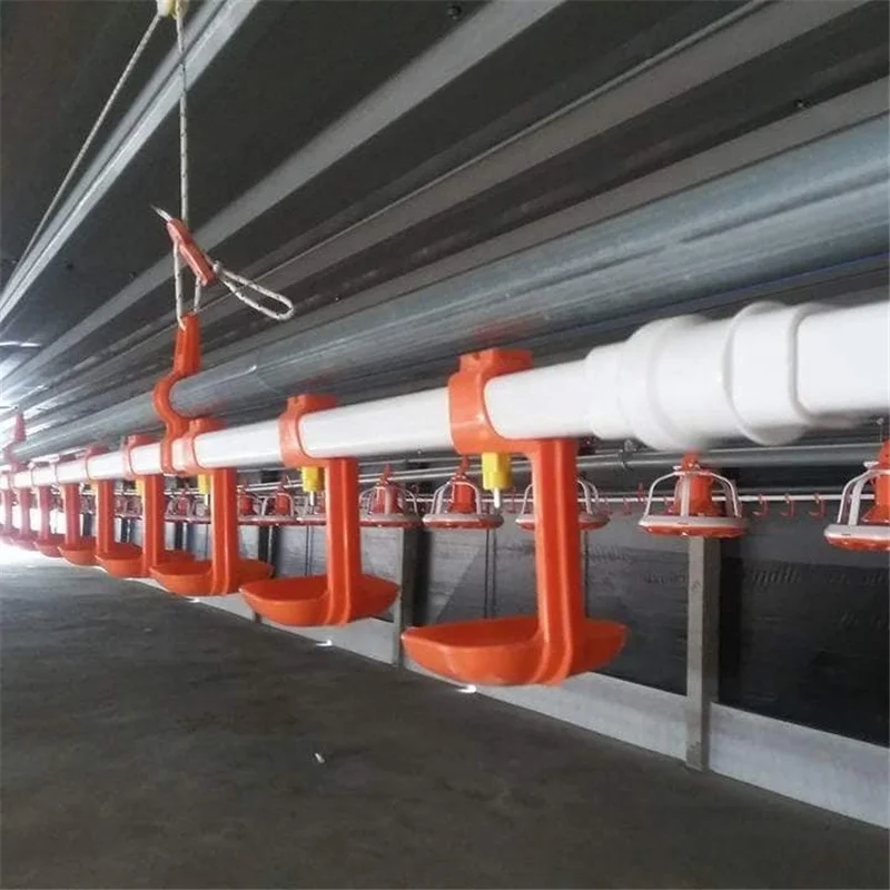 Automatic Quail Feeding and Drinking System For Poultry House Equipment, Poultry Feeder For Broiler and Breeder
