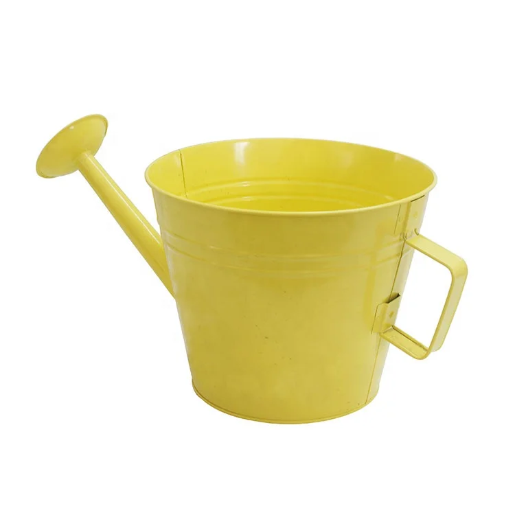 
Home garden yarde greenhouse Large Metal Watering Can 