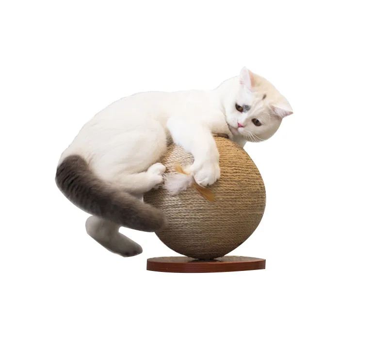 cat ball scratch toy