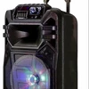 2019 high Bass 8 inch Big subwoofers Trolley Speaker with EQ LIGHT AND Wireless MIC