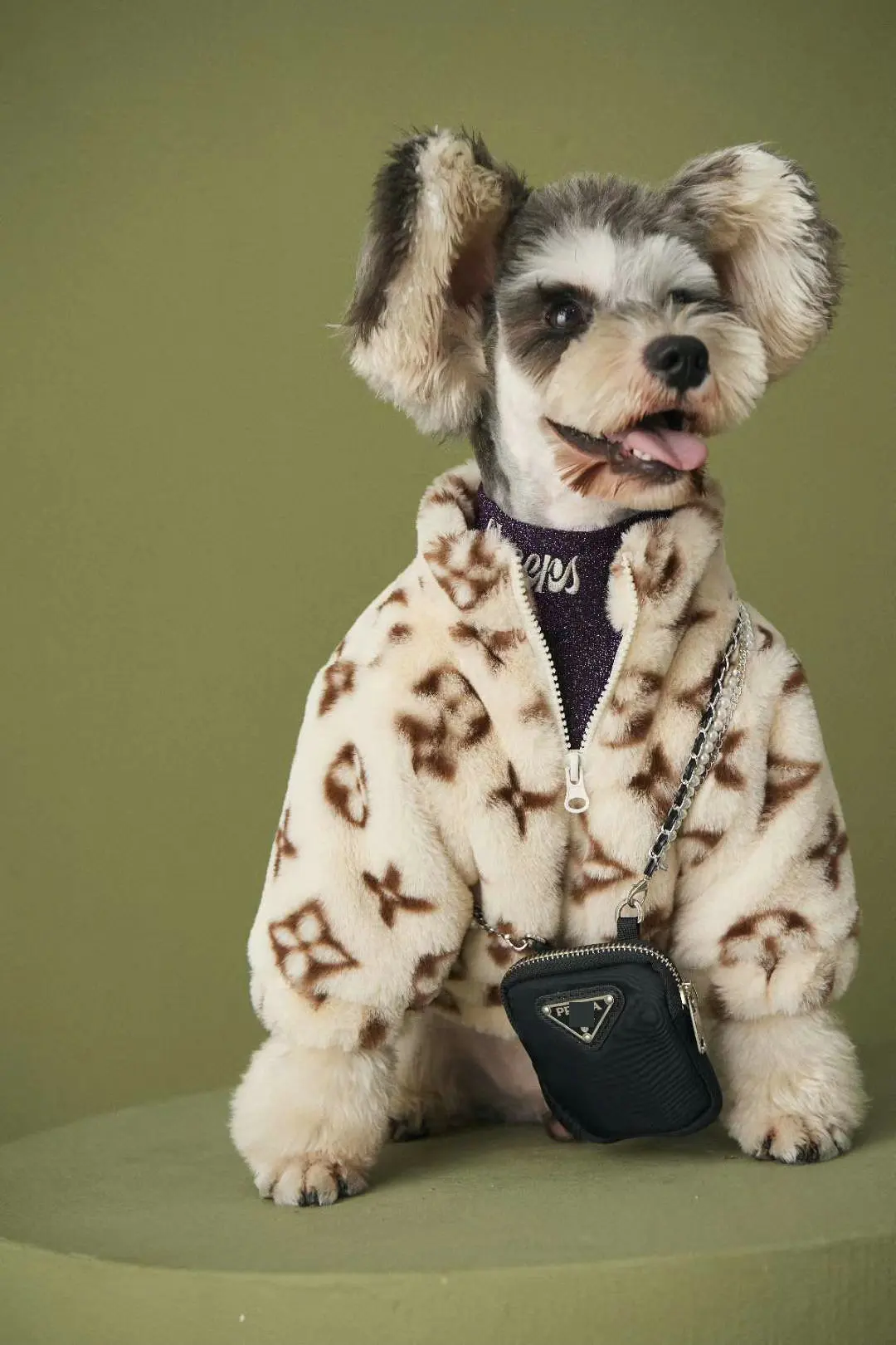 Jxanry Winter Luxury Fur Dog Coat Fashion Logo Pets Clothes Pets Coat