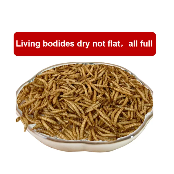 High Protein Dried Mealworm For Pet Food Fish,Birds,Forest Frogs/feed