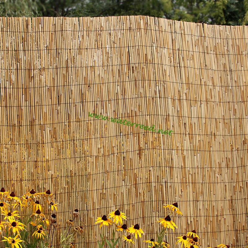 Thick Bamboo Reed Fence Buy Reed Fence,Thick Reed Fence,Bamboo Fence