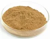 /product-detail/pure-nature-top-grade-natural-powder-cactus-extract-62252011295.html