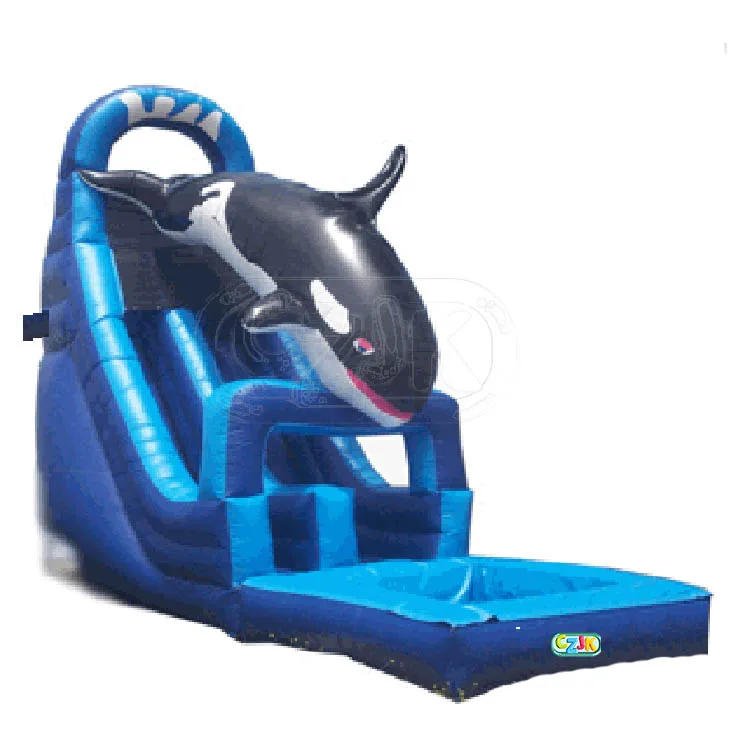 Whale Water Slide 1.jpg
