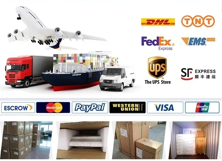 HBW-10 Plus Giá cả cạnh tranh Thiết bị y tế Máy quét siêu âm xe đẩy di động kỹ thuật số đầy đủ