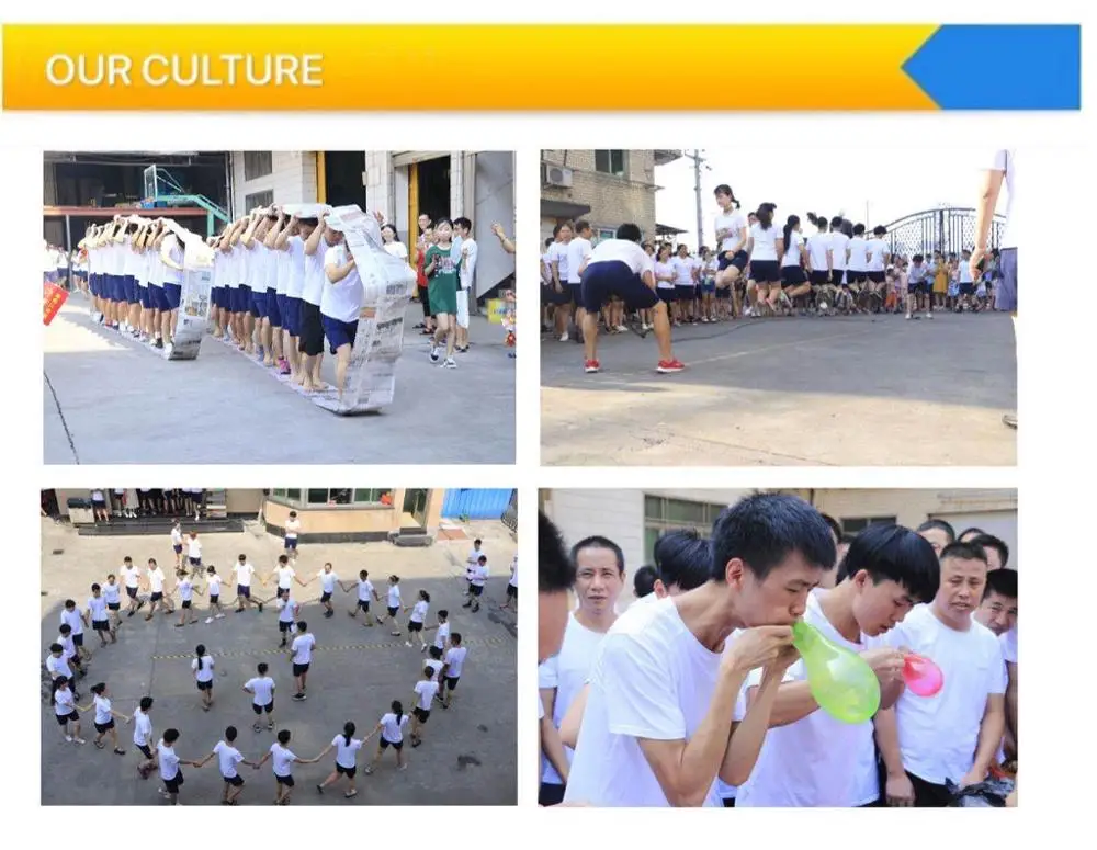 6fa86eff0610346e116ab12d2e9f6b6