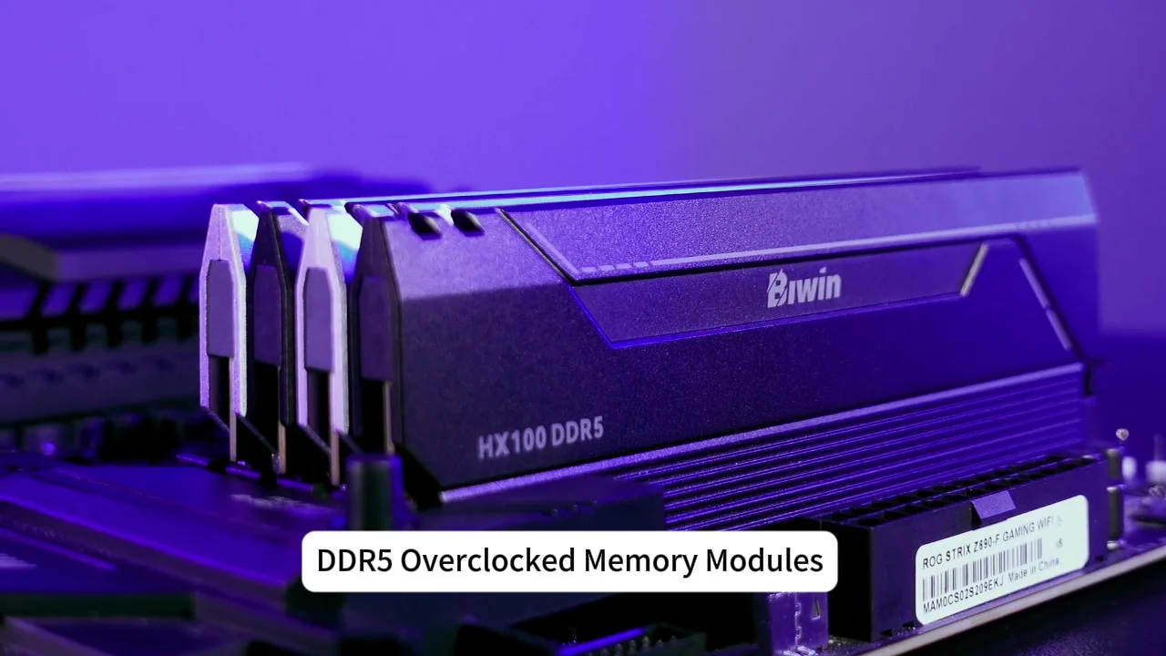 Biwin HX100 32GB (16GB x 2) DDR5 6400MHz ECC Desktop RAM - AMD