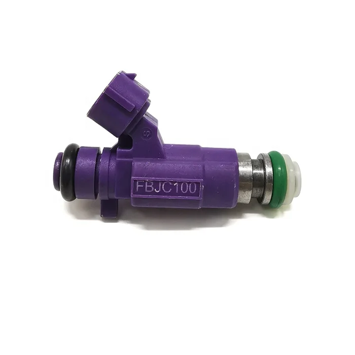 Fuel Injector FBJC100 (3)