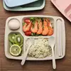 Eco Wheat Straw Kids Food Divided Plate Tray with Flatware Set Plastic 5 Compartments Egg Tray Plate for School Restaurant