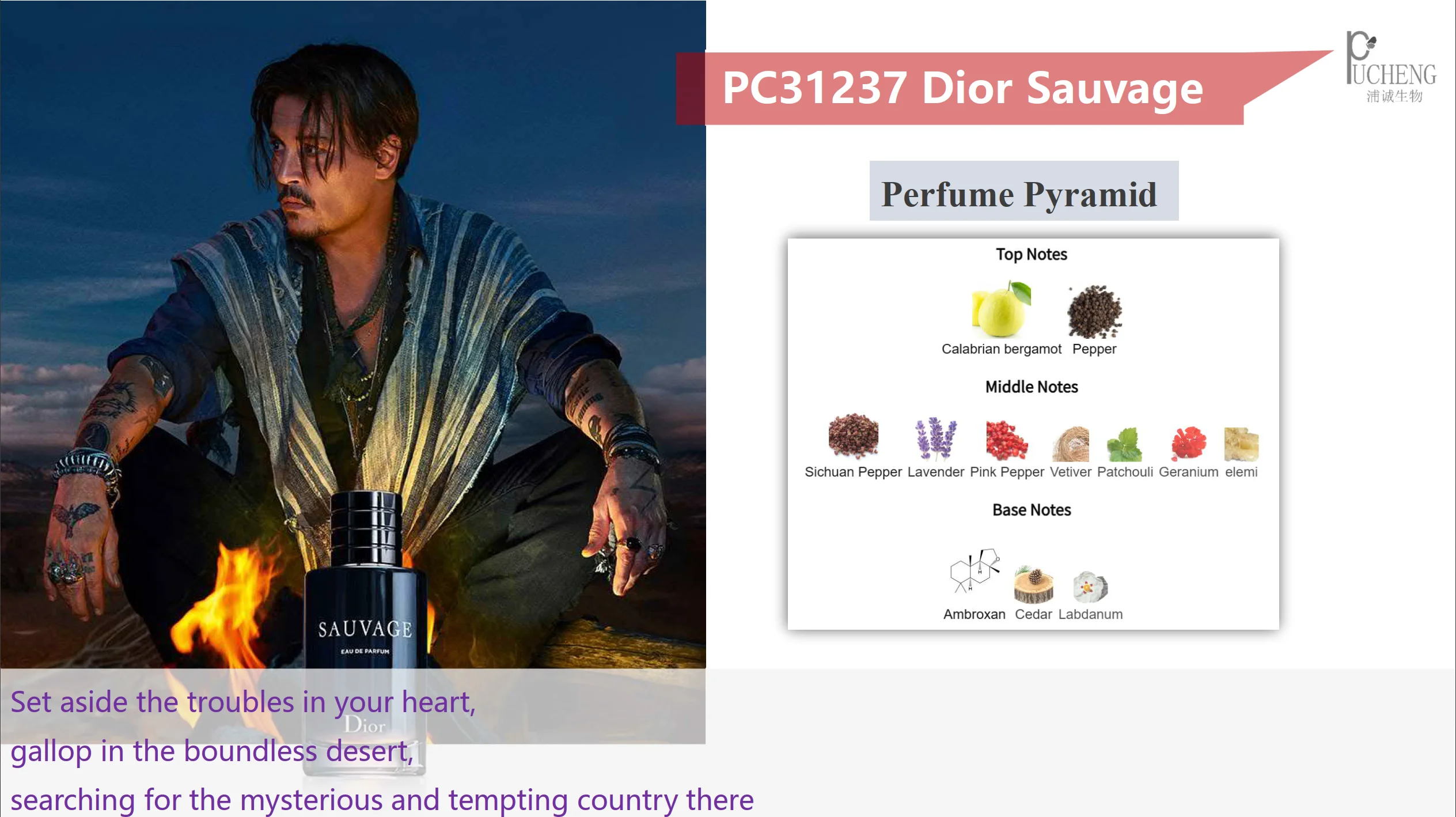 Scandal Jean Paul Gaultier,Luxury Perfume Fragrance Oil From Givaudan