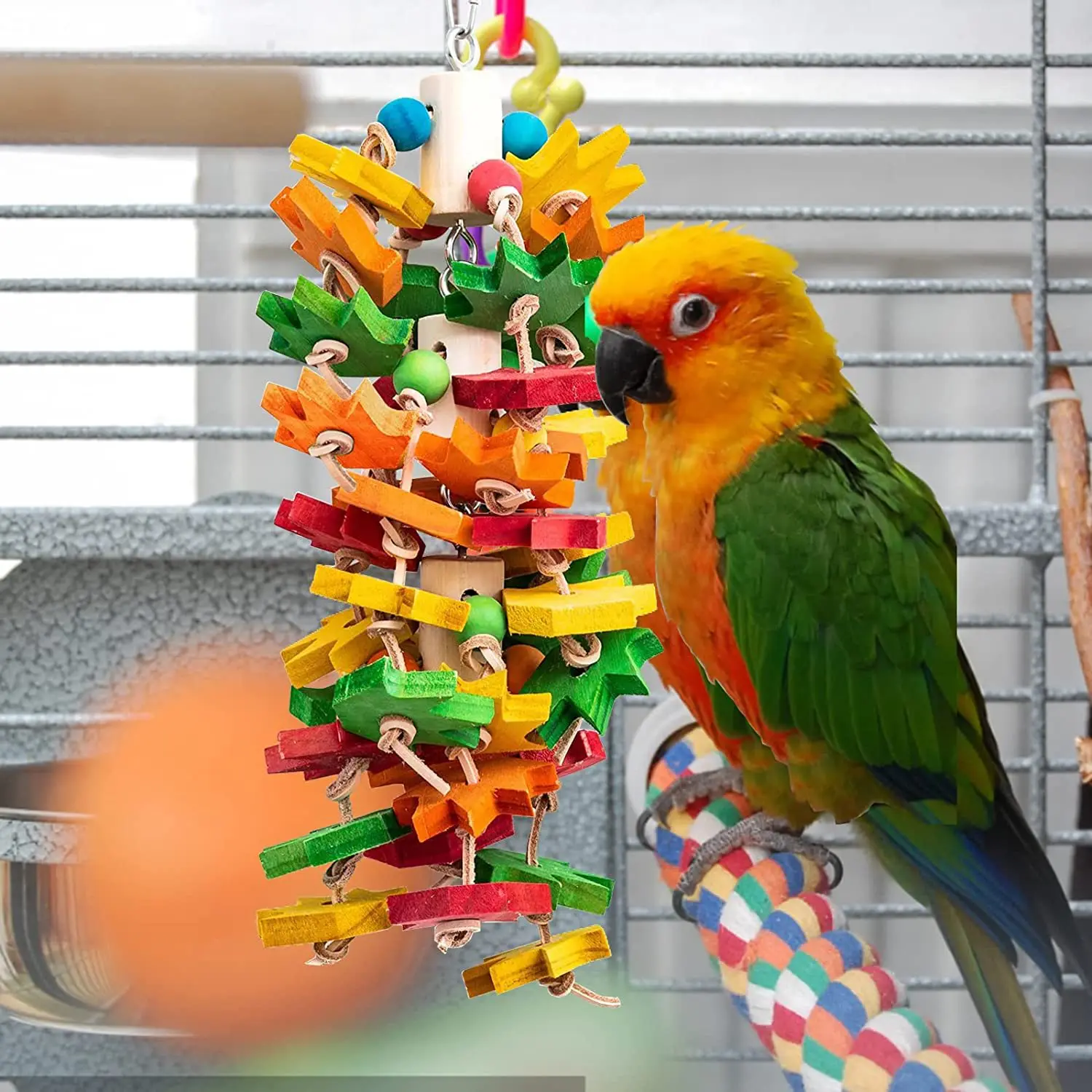 Curated visual reference: Cage Hanger Parrot Toys Reference: Eco Friendly Bird Toy Parrot Gnaws On Colored Hanger