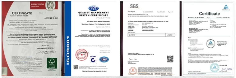 paste-pic-dp_uuid_fq97k