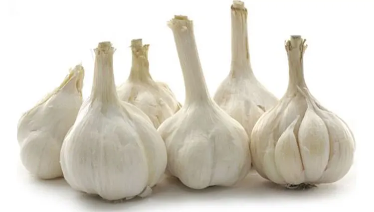 garlic price.jpg