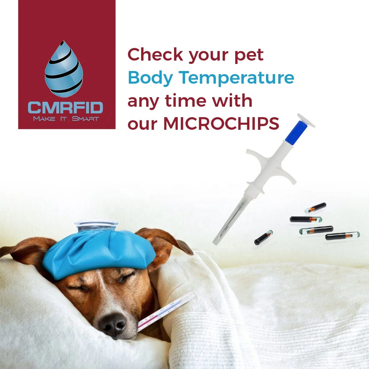 Cmrfid 134.2khz Rfid Injectable Microchip Implant Glass Transponder