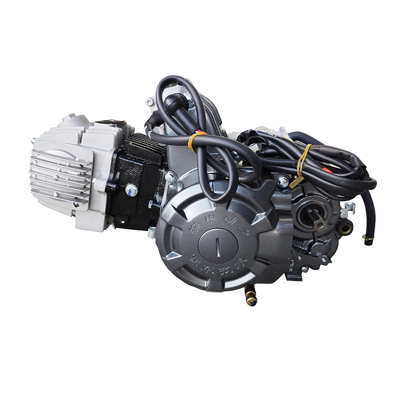 Zongshen 110CC Engine Z110, 4.7KW Single Cylinder, Electric/Kick