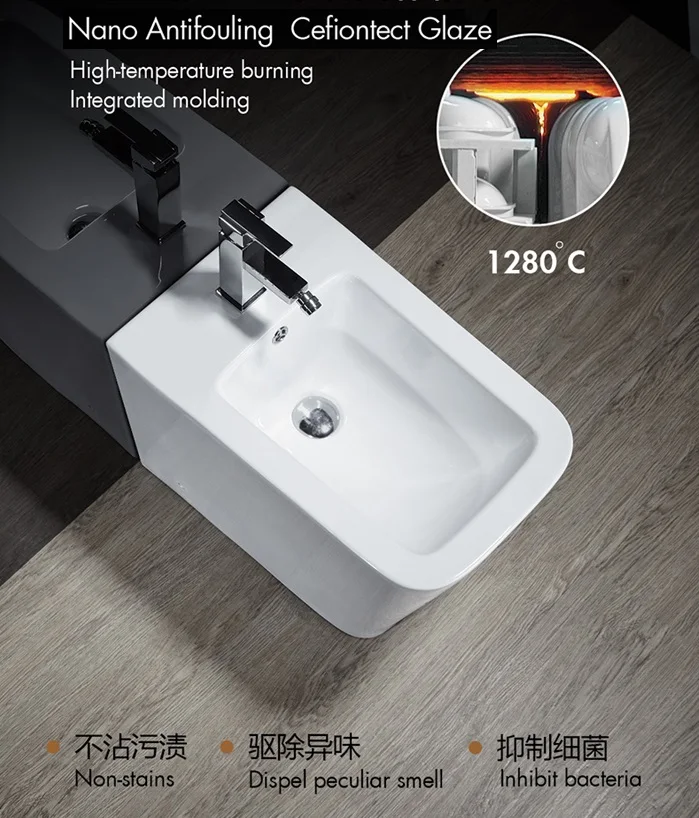 bidet toilet (9).jpg