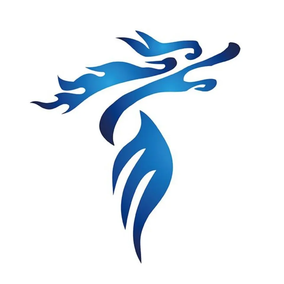 Dragon Diamond Logo