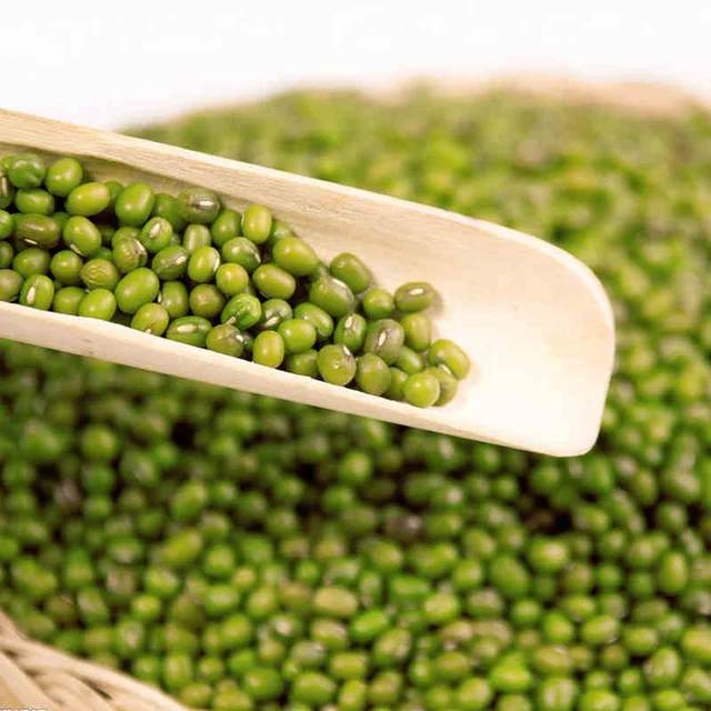 100% 2020 wholesale Green mung beans for sprouting