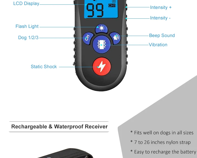 Electric Dog Collar (2).jpg