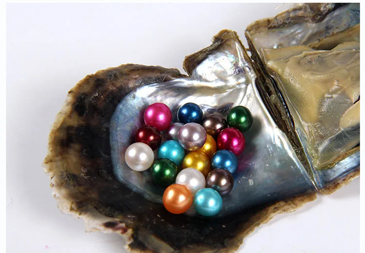 10PC Akoya Pearl Oysters with Round Pearls Inside Love Wish 10 Different Color Saltwater Cultured 7-8mm 