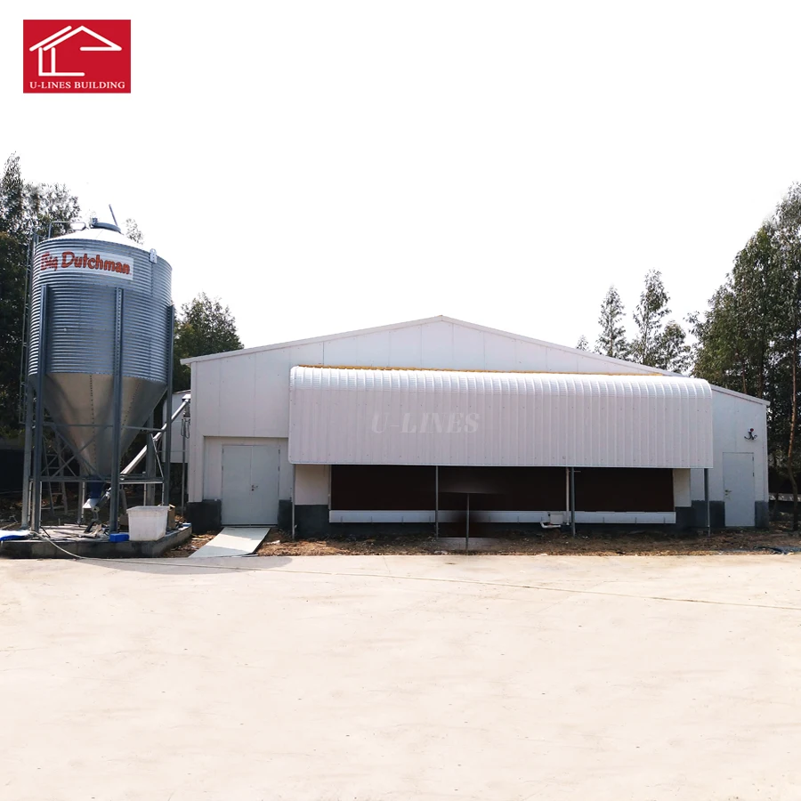 Open Side Prefabricated Steel Structure Broiler Chicken 