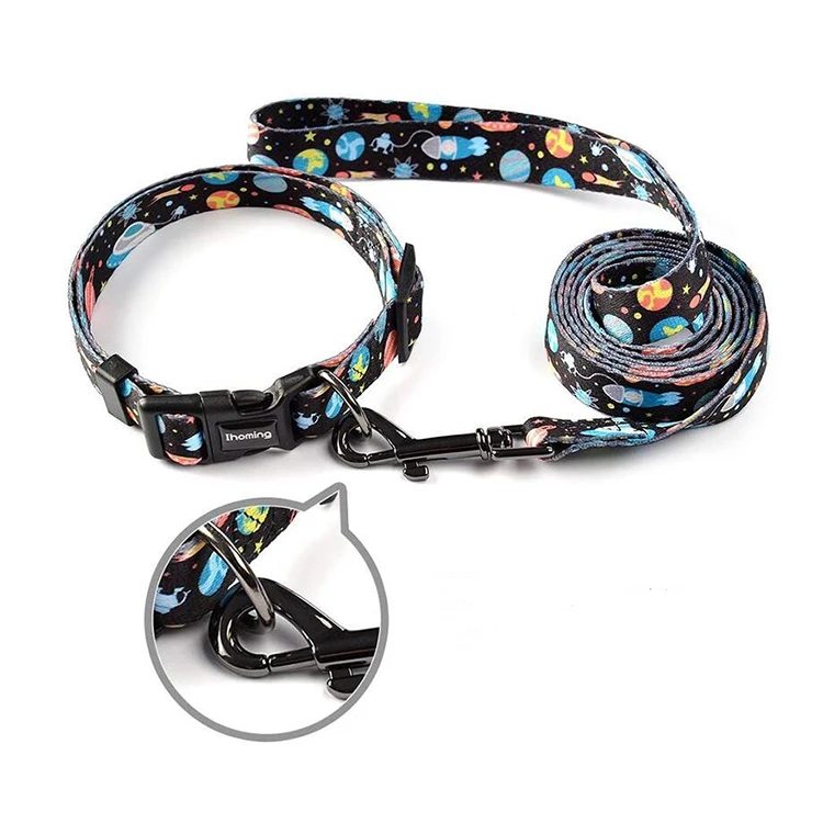 Dog collar leashes-11