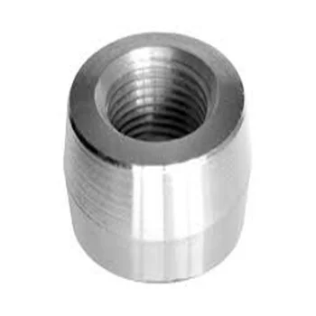 Factory Supplier Pipe Fittings Weldolet 3000# Customized Size Stainless Steel 304 316 details