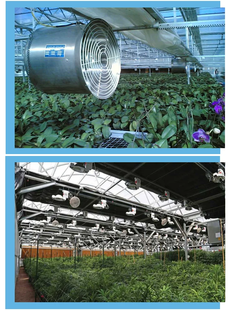 Factory Agricultural Greenhouses Circulation Fan For Inside Air