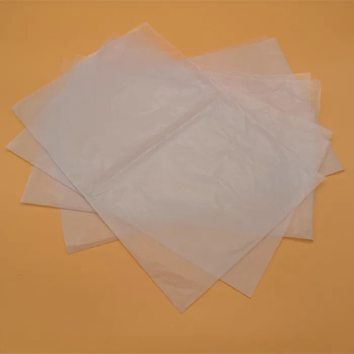 На фотографии прикрытой папиросной бумагой