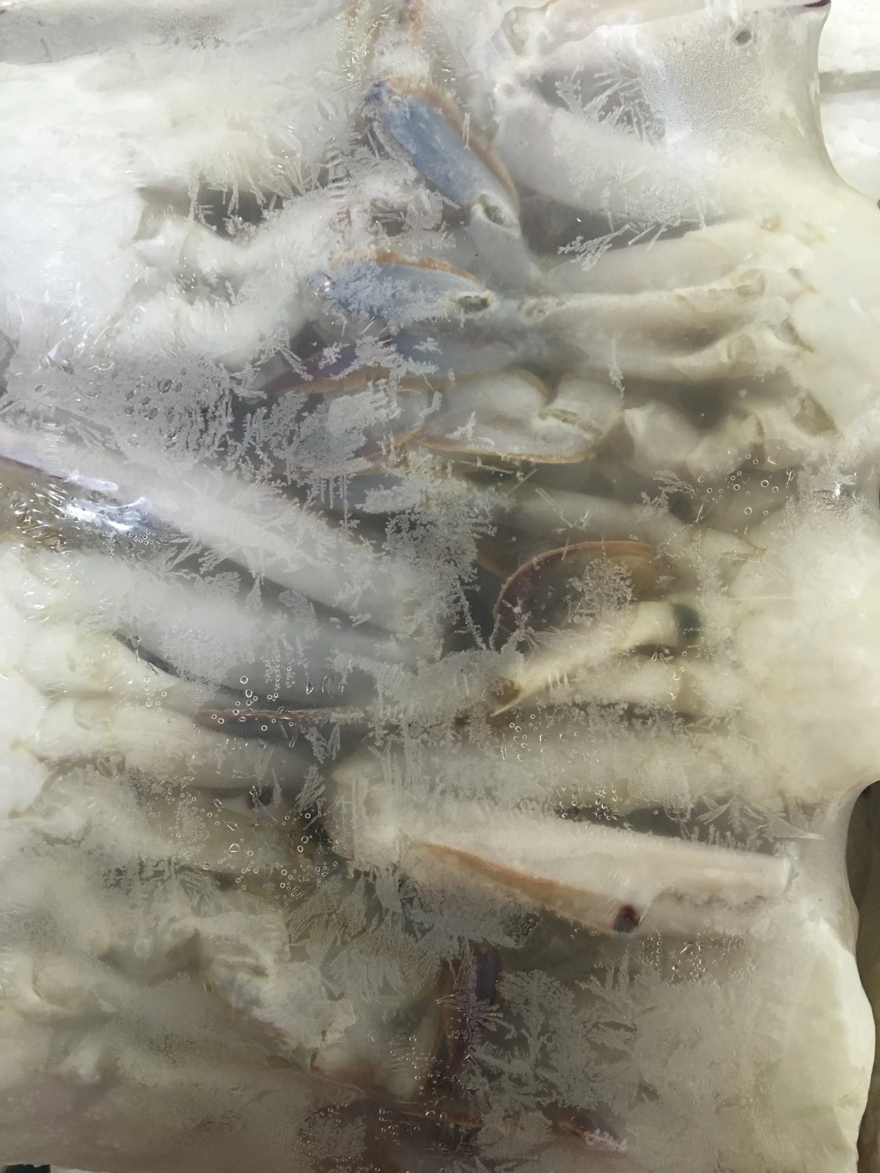 冷冻螃蟹蝴蝶切割好销售