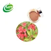 China supplier herb remove heat Radix Rubiae Extract