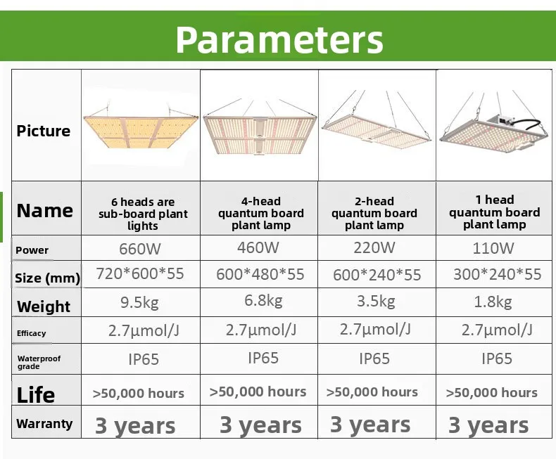 100WMain Image of the Details Page_06