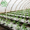 Big snow load capacity Glass multi span venlo type roof greenhouse for cold area
