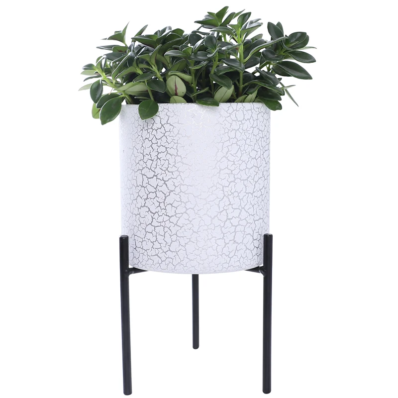 Grosshandel Blumentopfe Bedrucken Kaufen Sie Die Besten Blumentopfe Bedrucken Stucke Aus China Blumentopfe Bedrucken Grossisten Online Alibaba Com