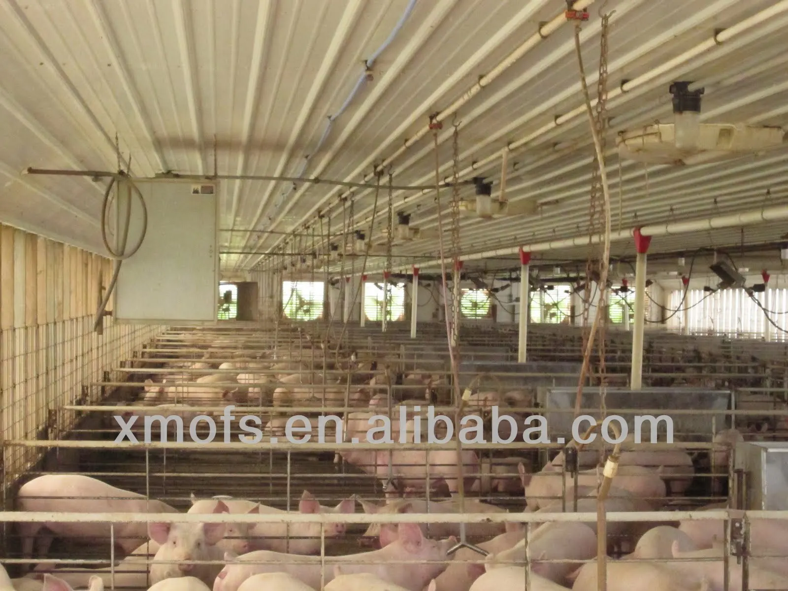 5 Swine housing fan .JPG