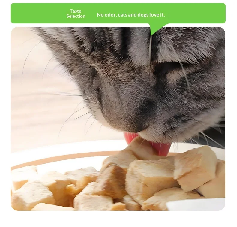 Pet Snacks Freeze-Dried Chicken Grains for Cats Dogs Model 005 Barrel Packaging Shandong manufacture