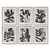 Flower Line Drawing Set of 6 Prints Printable Wall Art Botanical Art Flower Sketch Plant Artwork Minimal Flower Print Home Decor