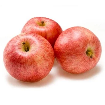 2020 fresh royal gala apples for sale in bulk.