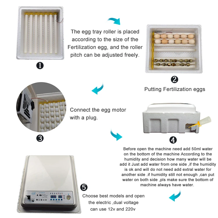 42egg incubator-17.jpg