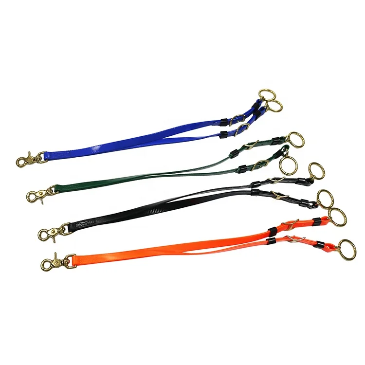 running martingale 1.jpg