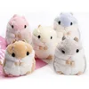 Cute hamster Plush Doll hanging key bag button animation peripheral small gifts wholesale
