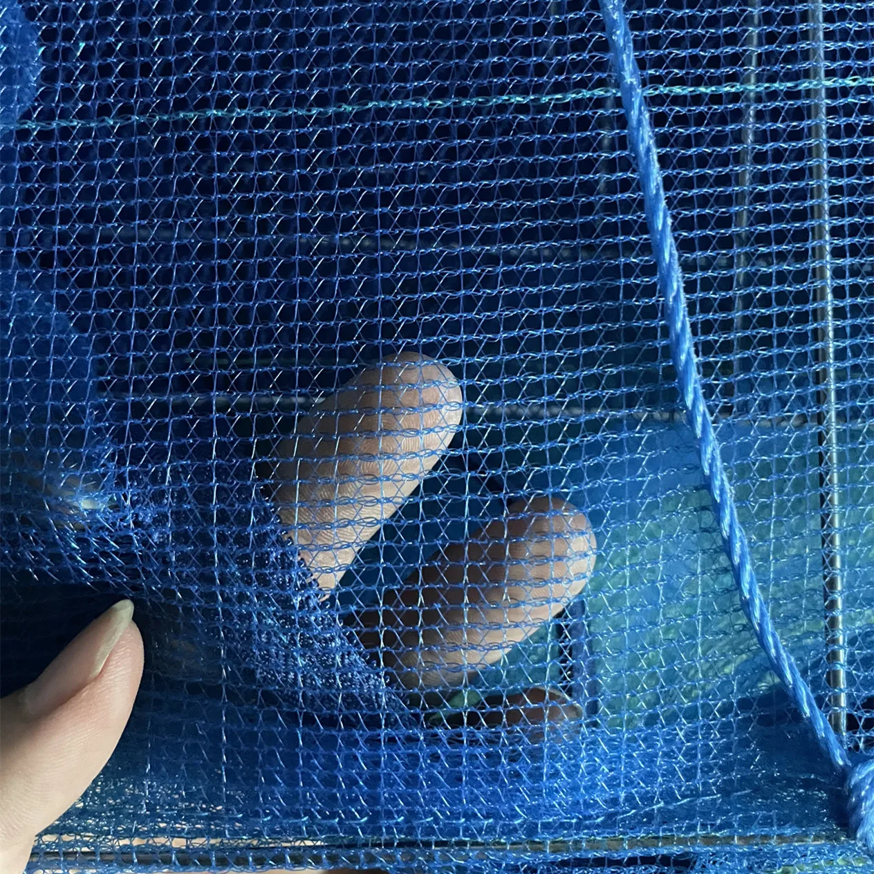 35 * 65厘米三层鱼网挂干网食品干网