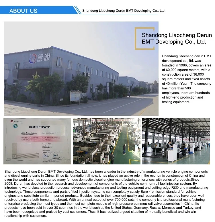 Company profile.webp.jpg