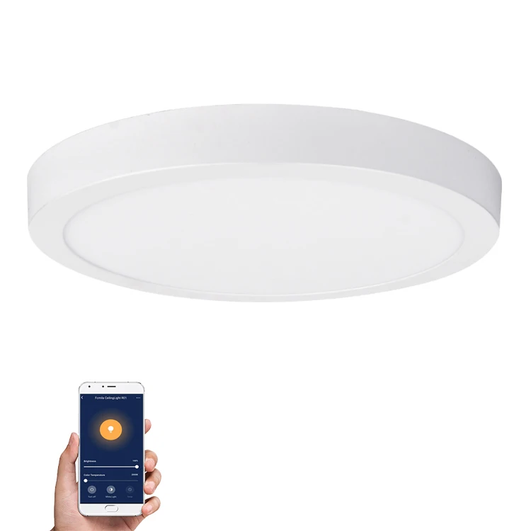 Amazon Alexa Google Home WIFI Remote Control Dimmable Surface Mounted Downlight LED 6W 12W 18W 24W
