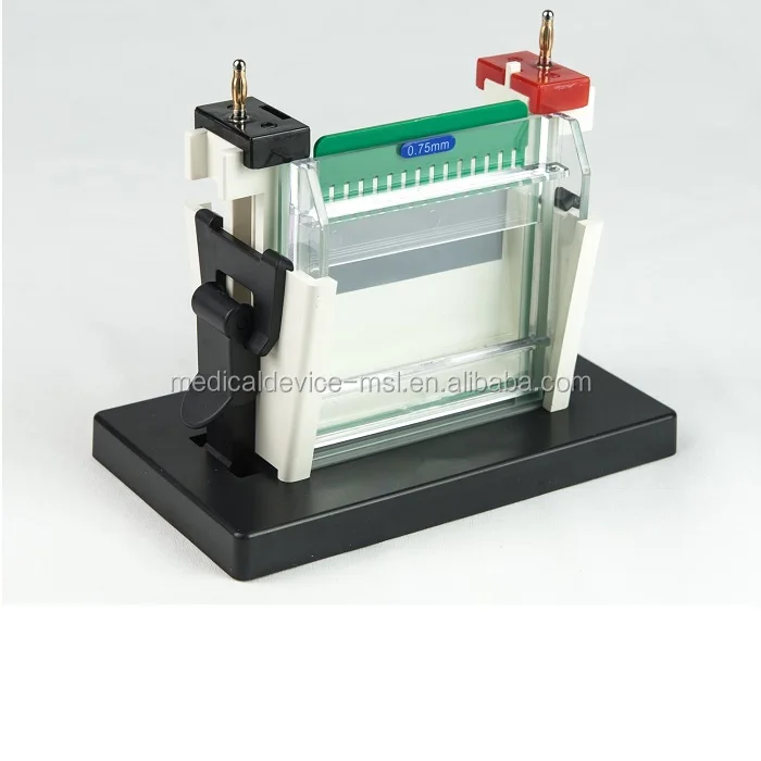Protein Electrophoresis Machine With Vertical Electrophoresis Tank Gel
