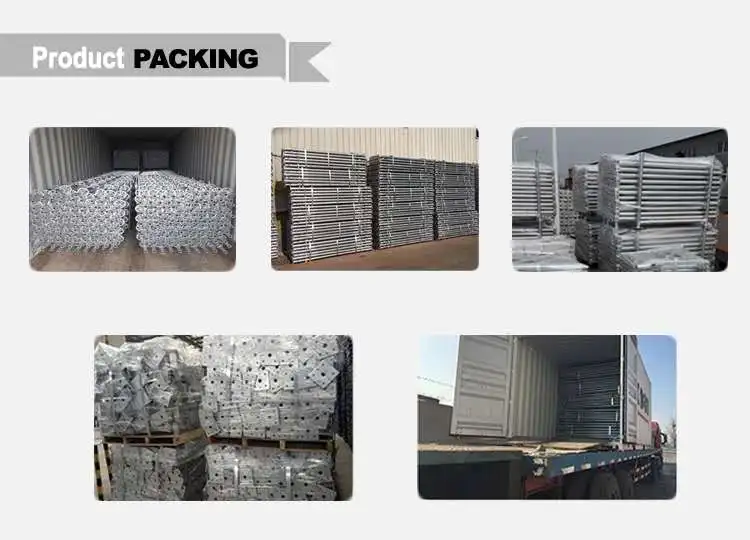 scaffolding (24).jpg