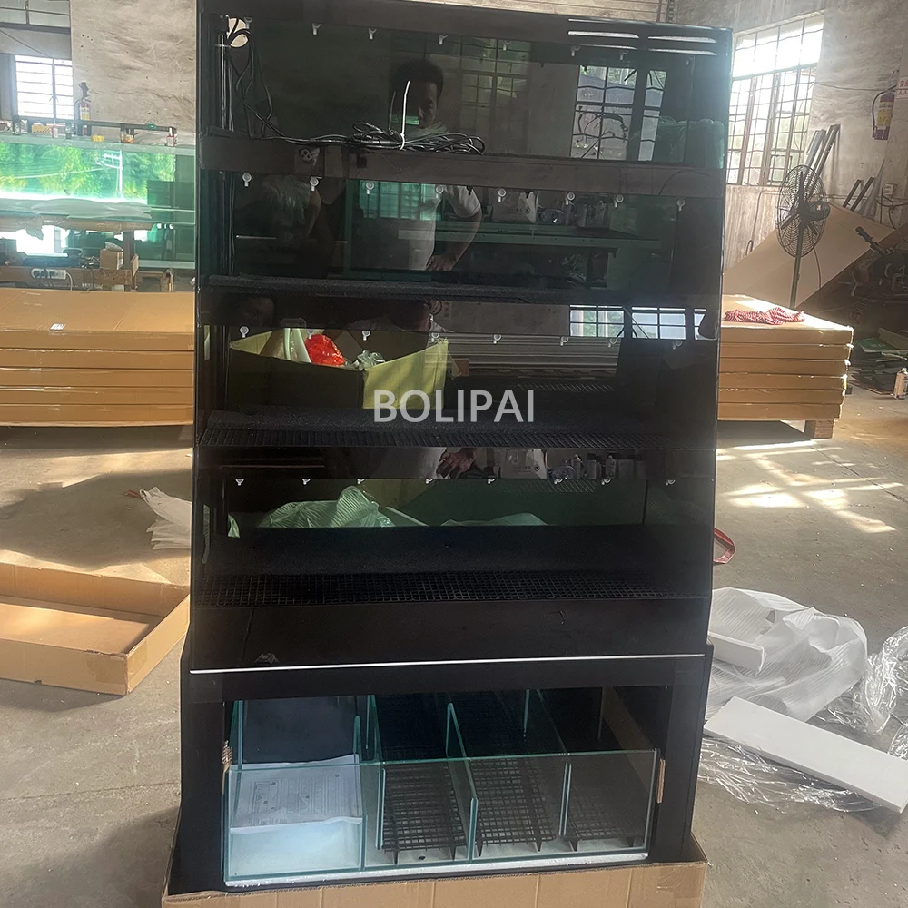Betta Aquarium Racks System - Low Iron Glass Fish Tank Display for Home ...